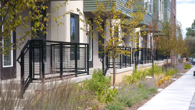 Modern townhouses with colorful autumn trees and landscaped sidewalk on a sunny day.