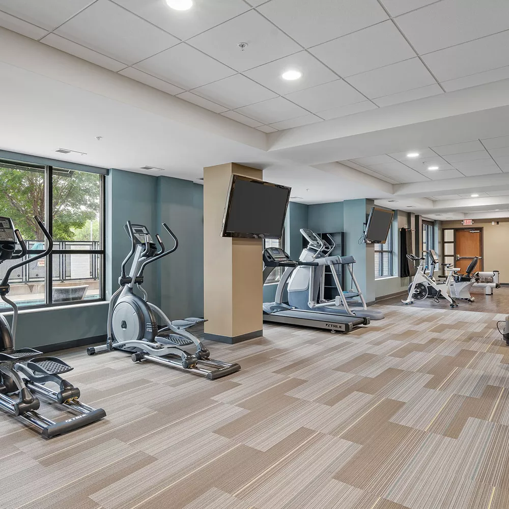 Bright, modern gym with several treadmills, ellipticals, and large windows.